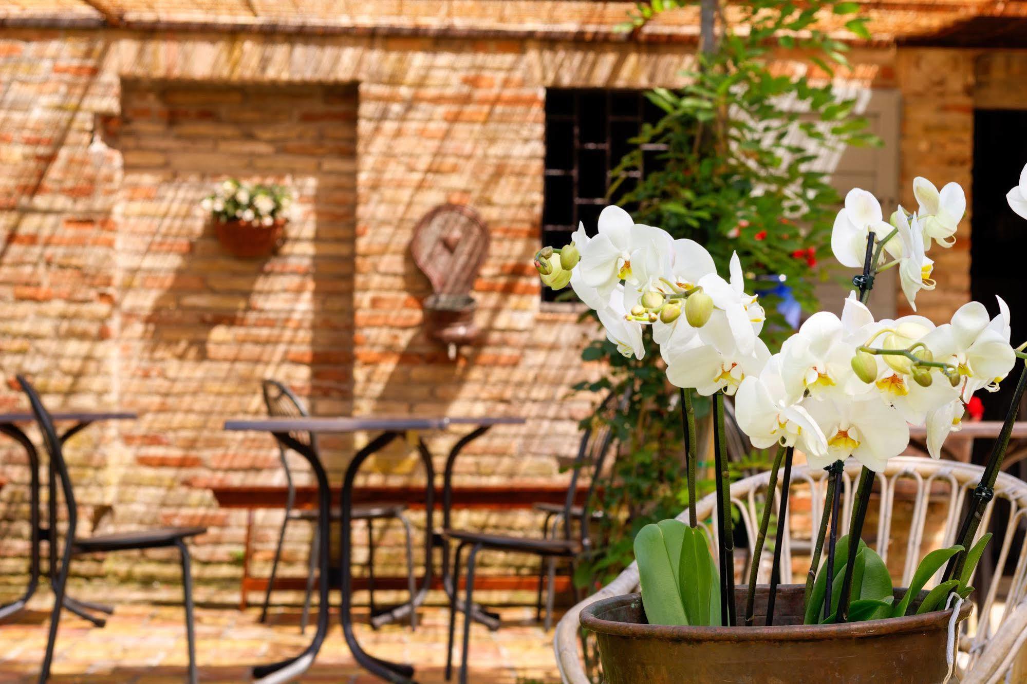 B&B La Residenza Del Poeta Montesicuro ภายนอก รูปภาพ